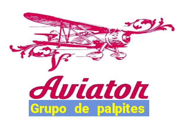 Grupo de palpites de futebol gratis